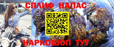 гашик Татарск